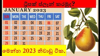 2023 calendar in sri lanka  2023 holidays sri lanka  sri lanka holiday 2023  2023 නිවාඩු දින [upl. by Esadnac]