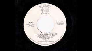 Nathan amp the Zydeco Cha Chas I Got The Zydeco Blues [upl. by Atel969]