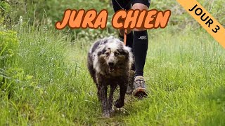 Trophée Jurachien chien canicross competition sports [upl. by Auqinihs]