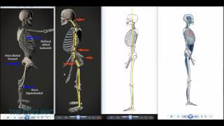 Fixing OP understanding your Center of Gravity part 1 [upl. by Ahsatsana657]