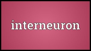 Interneuron Meaning [upl. by Ludlew]