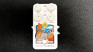 Electro Harmonix Canyon  Unboxing and First Impressions [upl. by Amabil835]