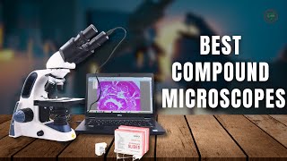 Top 5 Best Compound Microscopes in 2023 [upl. by Feinstein]