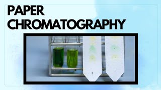 PAPER CHROMATOGRAPHY  CHROMATOGRAPHY  SEPARATION TECHNIQUE [upl. by Hezekiah]