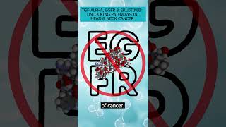 Significance of TGFAlpha and EGFR in head and neck cancer and how Erlotinib treats it [upl. by Ailerua]