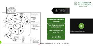 Nefritis Tubulointersticial Aguda  Dr Kevin Navarro [upl. by Tarrel]