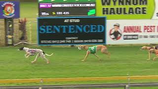 Capalaba11082024Race12 [upl. by Brigida]