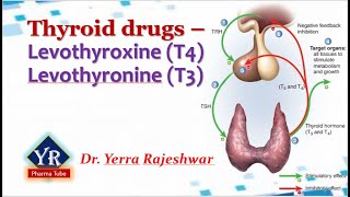 Thyroid drugs  Thyroxine amp Thyronine  YR Pharma Tube  Dr Yerra Rajeshwar  Dr YR [upl. by Wie302]