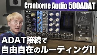 これ、すごい。Cranborne Audio 500ADAT、徹底レビュー [upl. by Hanley]