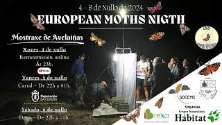 European Moth Night 2024  1ª Parte [upl. by Elvera189]