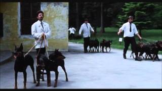 Dobermans in movie  3  Доберманы в кино [upl. by Nnaik]