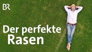 Säen rollen mähen Der perfekte Rasen  Schmidt Max  freizeit  Doku  BR [upl. by Nethsa]