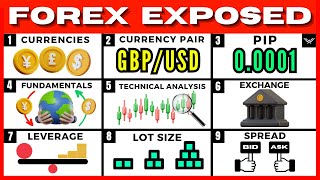 Forex Trading For Beginners FREE FULL COURSE [upl. by Tellford]