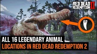 ALL 16 Legendary Animal Locations in Red Dead Redemption 2 [upl. by Nohshan]