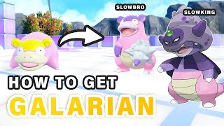 Where to get Galarica Twigs for Galarian Slowbro amp Slowking ► Pokemon Scarlet amp Violet [upl. by Aibat860]