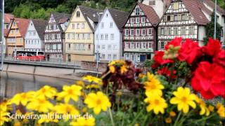 Calw und Klosteranlage Hirsau im Nordschwarzwald [upl. by Ecirual]