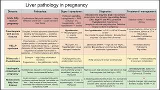 Liver pathology in pregnancy [upl. by Adna316]