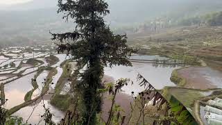 Yunnan  Yuanyang  Hani Rice Terraces Part I [upl. by Ronile337]