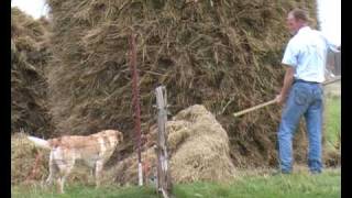 English Documentary Crofting and harvesting [upl. by Calise275]