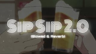 Sip Sip 20 Slowed amp Reverb  Street Dancer 3d [upl. by Carina]