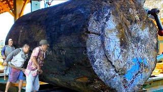 The Most Satisfying Sawmill  Sawing Giant Logs old wood [upl. by Jaclyn]