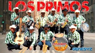 LOS PRIMOS DE ILLESCAS POPURRI DE CUMBIAS EN VIVO [upl. by Nali]