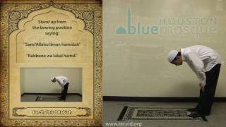 How to Pray  Zuhr Noon Pray  Fardh [upl. by Tab667]