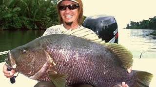 Black Bass  Baia Sportfishing Lodge PNG [upl. by Billy]