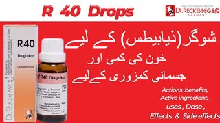 Reckeweg R 40 drops Homeopathic medicine benefits  R no 40 drops for Diabetics [upl. by Yand]