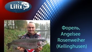 ФорельAngelsee Rosenweiher Kellinghusen [upl. by Debera]