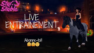 Entraînement Chevaux SSO live 🔴🤗 [upl. by Fabe699]