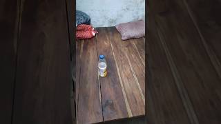 Bottle Flips From Empty to Full [upl. by Cesar]