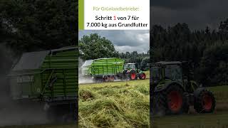 1 Schritt Wie auch du 7000 kg Milch aus dem Grundfutter melkst 1 von 7  grünland [upl. by Fredericka432]