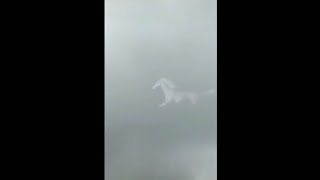 A strange phenomenon a horse in the sky [upl. by Anerul]