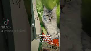 Makanan Kucing Bajet Tanpa Pewarna Tiruan httpsvttiktokcomZS2ouDEnB [upl. by Ydissak690]