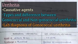 Urethritis  Causative agents  Gonococcal vs Nongonococcal urethritis  Gonococcal urethritis [upl. by Arted]