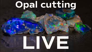 LIVE rough opal cutting session [upl. by Ford]