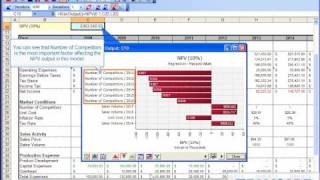 How to Create a Tornado Graph in RISK [upl. by Philomena]