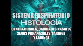 Histología de Sistema Respiratorio Parte 1  Histología [upl. by Hubert]