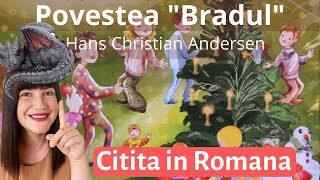 BRADUL de Hans Christian Andersen  Poveste Audio Pentru Copii  Poveste de Iarna [upl. by Suiravaj]