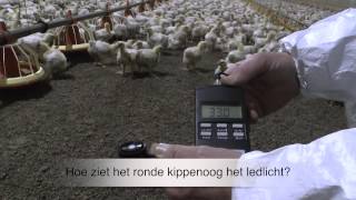 VetSite Forte Led Agri ook voor kippenstallen [upl. by Fayina603]