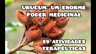 URUCUM DOENÇAS VENÉREAS MORDIDA DE COBRAS CÂNCER MALÁRIA QUEDA DE CABELO VERMES DIABETES DOR [upl. by Eerat]