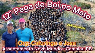 12° Pega de Boi no Mato no Assentamento Novo Mundo Camalaú PB Org Cafuringa e Josa pegadeboi [upl. by Yvon332]