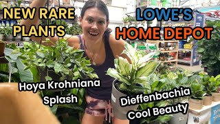 New 16 RARE Plant Varieties at Lowes amp Home Depot  Big Box Rare Plant Hunting [upl. by Marcia867]