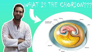 WHAT IS CHORION  Pregnancy Health [upl. by Linnet198]