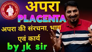 मानव जनन क्लास 12  human reproduction class 12  prasav class 12 parturition  pregnancy test [upl. by Sol]