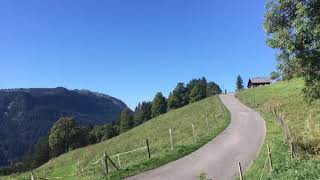 Alpabfahrt Alpe Le Creux Les Diablerets 2018 [upl. by Gillian241]