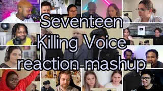 Seventeen Dingo Killing Voice  reaction mashup [upl. by Luz]