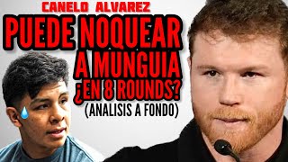 ¿ARROGANCIA O SEGURIDAD ¿De verdad el Canelo Alvarez PUEDE NOQUEAR a Jaime Munguia en 8 ROUNDS [upl. by Enyaw251]