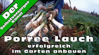 Porree Lauch erfolgreich im Garten anbauen [upl. by Xam]